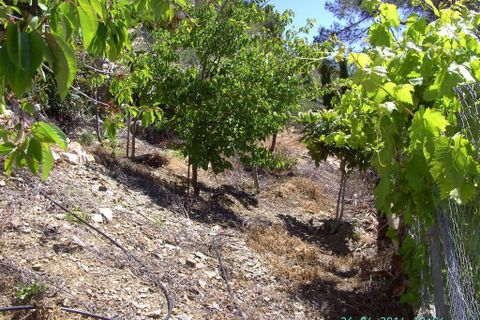Byhus i Comares, Malaga, Comares - € 670.000 | Ref: ID4102 - foto 14